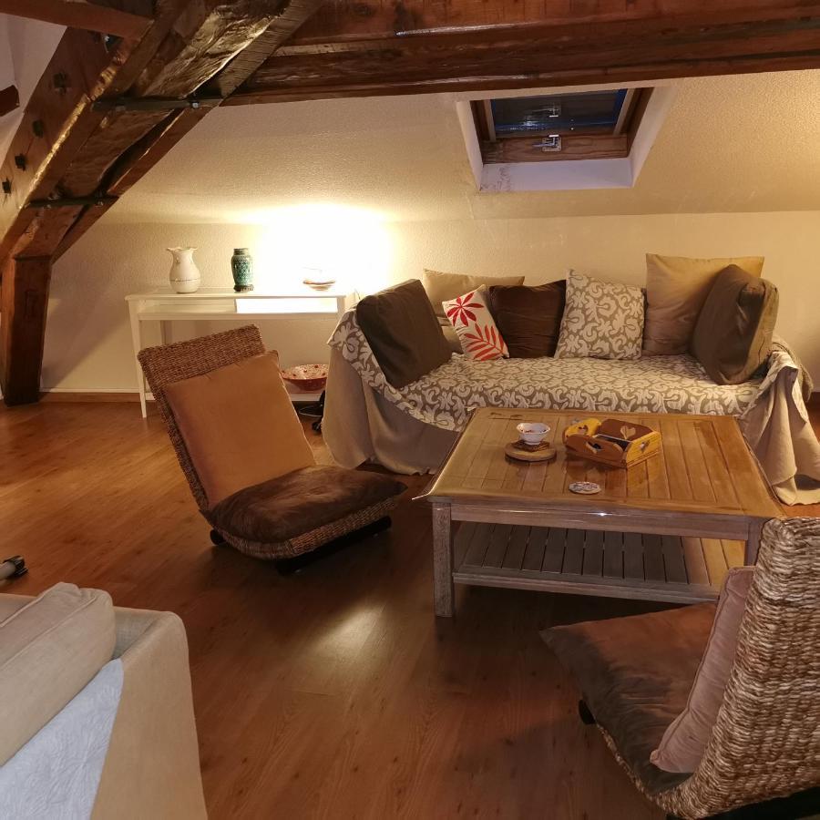 Cosy And Calm In Grenoble City Heart With Free And Large Parking Q-Park Chavant Buitenkant foto